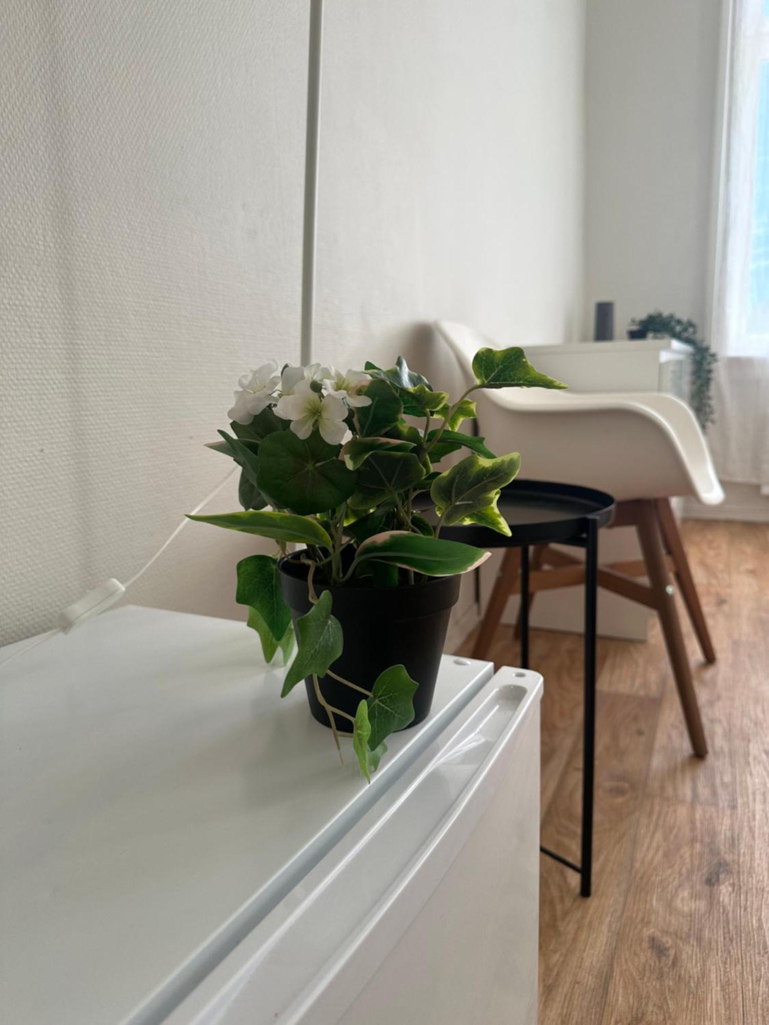 The Bloom Apartments Oslo Dış mekan fotoğraf